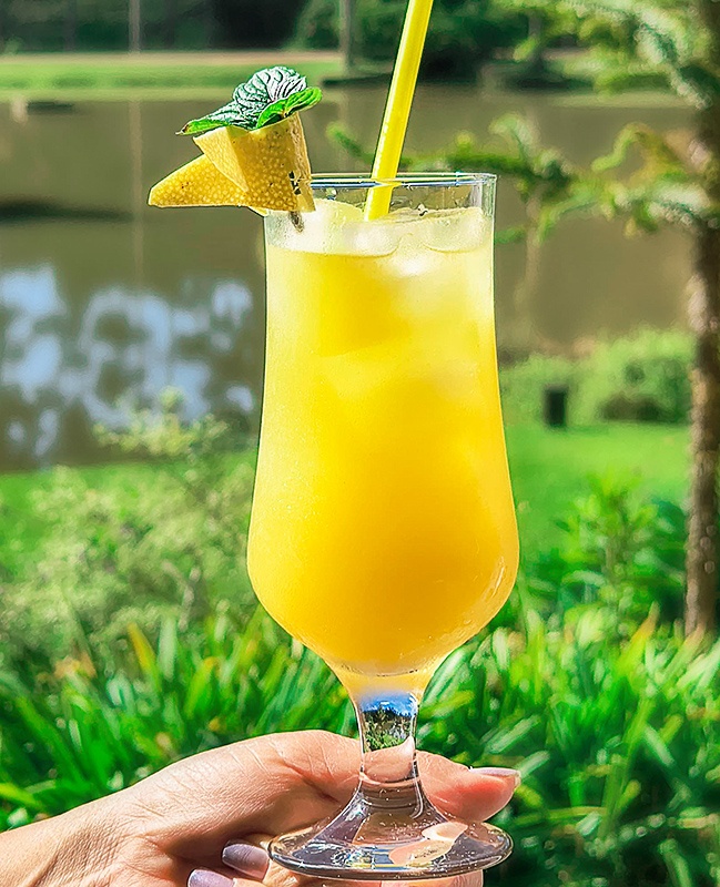 Receita de Limoncello Fizz com Limoncello Raffinato — Limoncello artesanal Florianópolis